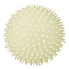 Trixie Hedgehog Ball Luminous Dog Toy