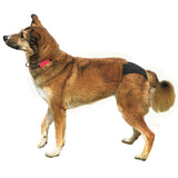 Trixie Protective Pants for Dogs