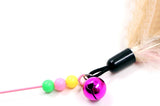 Petropolis Cat Spring Teaser Playing Stick and Feather Toy