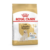 Royal Canin Labrador Retriever 5+ Year Adult Dog Dry Food