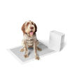 M-Pets Puppy Training Pads