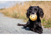 Trixie Spielzeug Fur Blinde Hunde Hole Ball With Bell Natural Rubber Dog Toy