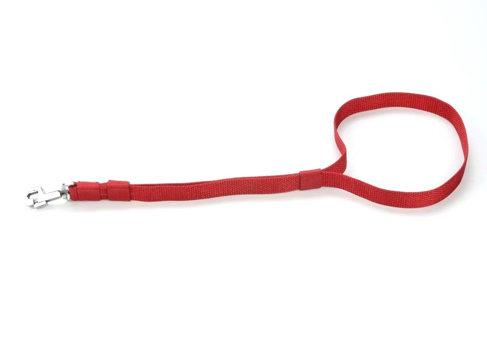 Kennel Nylon Short Leash (1") (21")