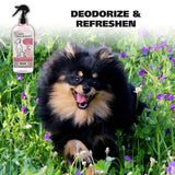 Wahl Doggie Deodorant Puppy