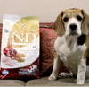 Farmina N&D Ancestral Grain Chicken Spelt Oats & Pomegranate Medium Adult Dog Dry Food