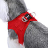 Petropolis Pioneer Dog Adjustable Harness