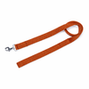 Kennel Nylon Leash (3/4") (48")