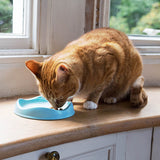 BecoPets Eco Friendly Cat Bowl