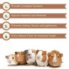 Vitapol Karmeo Premium Complete Food for Guinea Pigs