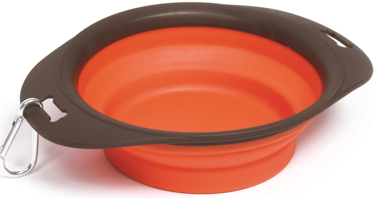 M-Pets Foldable Bowl For Dog (Color May Vary)