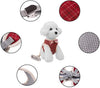Whoof Whoof Printed Bow Harness With Leash