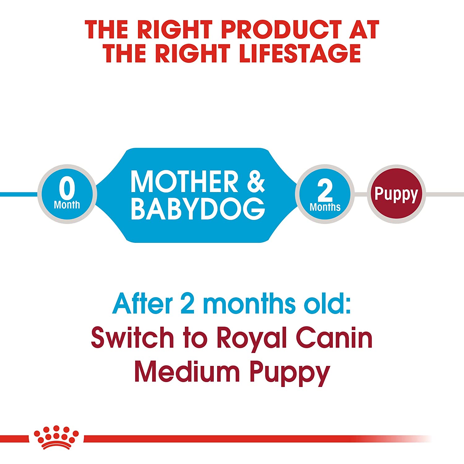 Royal Canin Starter Medium Breed Mother & Babydog Dry Food