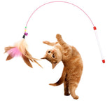 Petropolis Cat Spring Teaser Playing Stick and Feather Toy