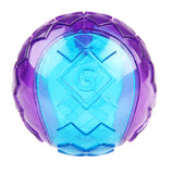 Gigwi Squeaker Transparent Ball - Blue/Purple