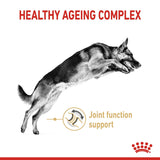 Royal Canin German Shepherd 5+ Year Adult Dog Dry Food