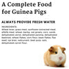 Vitapol Karmeo Premium Complete Food for Guinea Pigs