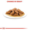 Royal Canin Medium Adult Dog Gravy Salsa Pouch