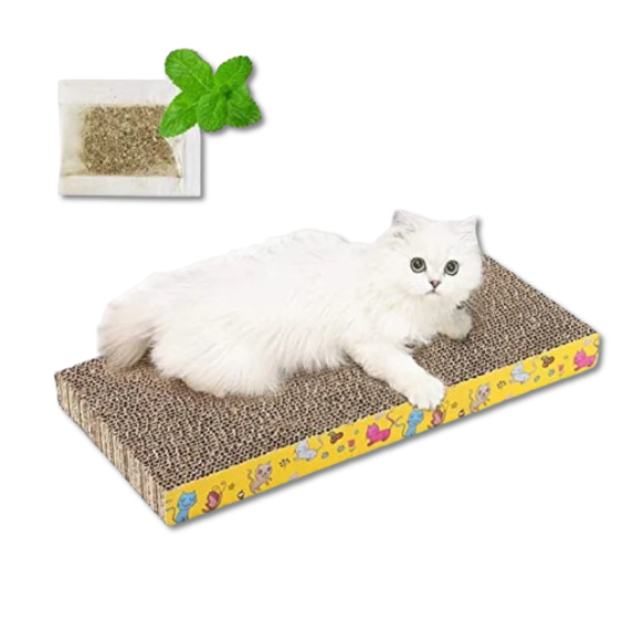 Pets Empire Reversible Cat Scratcher With Catnip