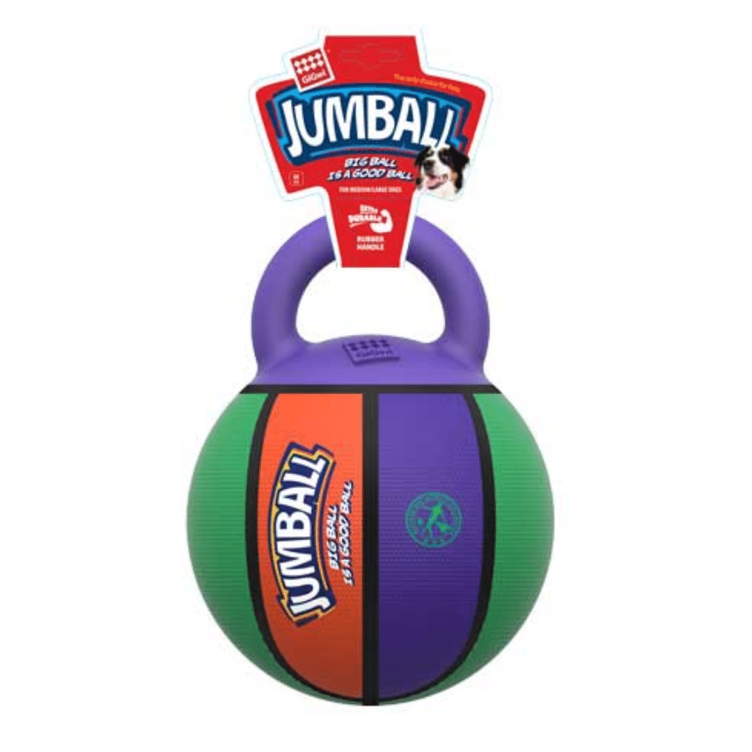 Gigwi Jumball Basket Ball With Rubber Handle Dog Toy