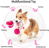 Petropolis Self-Playing Vaccum With Rubber Ball Rope Dog Toy