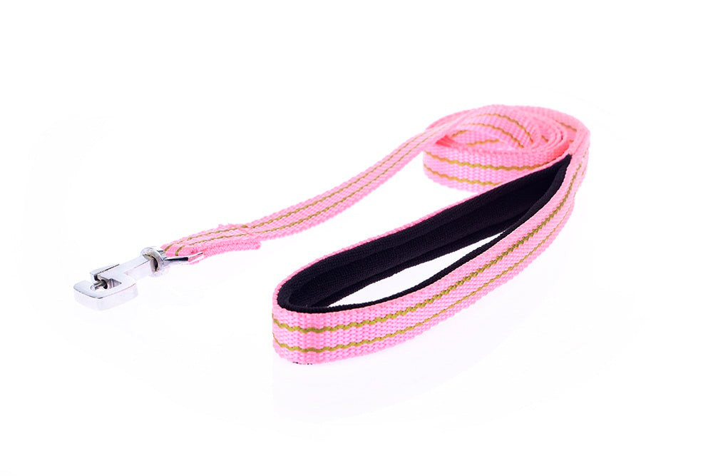 Kennel Padded Nylon Pattern Leash (1") (48")