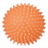 Trixie Hedgehog Ball Luminous Dog Toy
