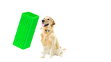 Speedy Pet Hair Remover Green