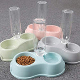 Petcrux Pet Drinker And Feeder