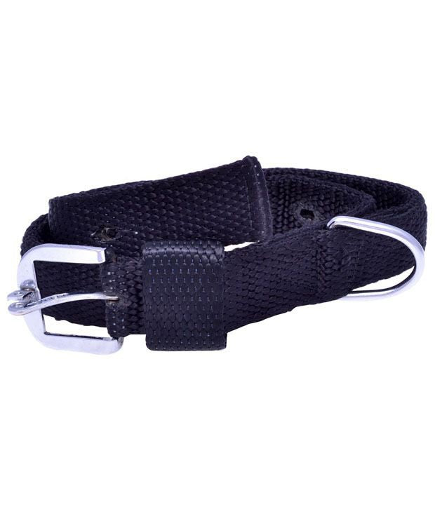 Kennel Premium Nylon Collar (1 1/2")
