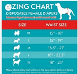 Simple Solution Disposable Diapers - XX Large - 12 Pcs