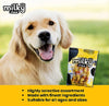 Dogaholic Milky Chew Knotted Bone - Cheese & Chicken
