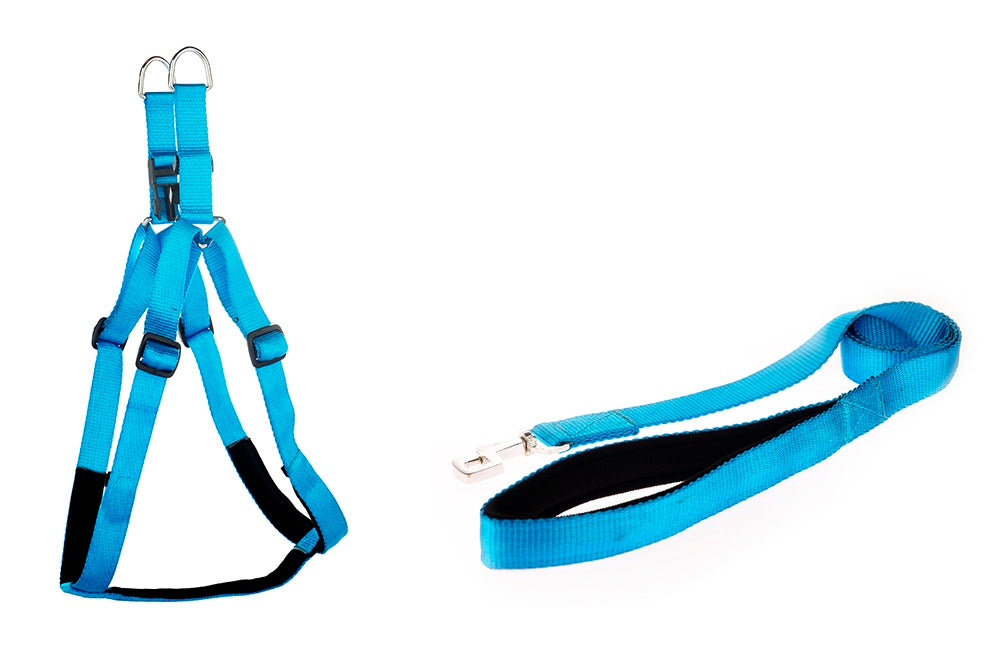 Kennel Padded Soft Nylon Adjustable Harness & Leash Set (1")