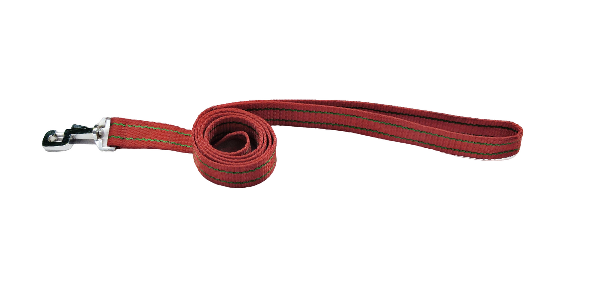 Kennel Nylon Pattern Leash (3/4")