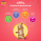 Purina Friskies Kitten Discoveries Dry Food