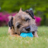 BecoPets Treat Rubber Ball - Blue