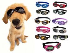 Dog Goggles