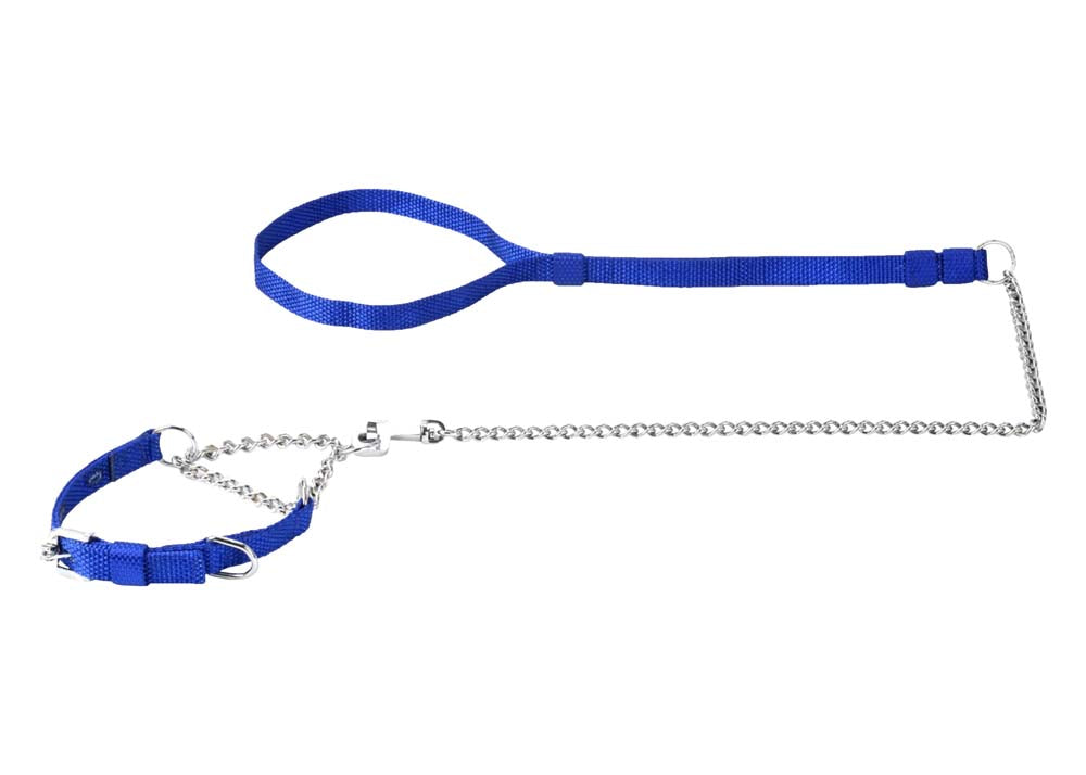 Kennel Nylon Chain Lead Thin (L = 48") & Choke Collar (W = 1/2") (T = 2.5mm)