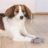 Trixie Hundesocken Non-Slip Dog Socks