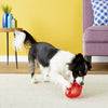 Kong Jumbler Football (Medium-Large)