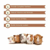 Vitapol karma Econimic Food For Hamster