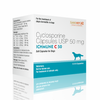 Savavet Ichmune C 50 mg Soft Capsules For Dogs