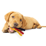 Nylabone Puppy Keys Toys - Small