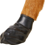 Pawz Waterproof Dog Boots - X Large - Black 12 Pcs