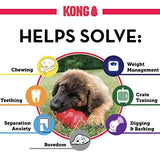 Kong Extreme Toy