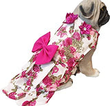 Whoof Whoof Dog Frock