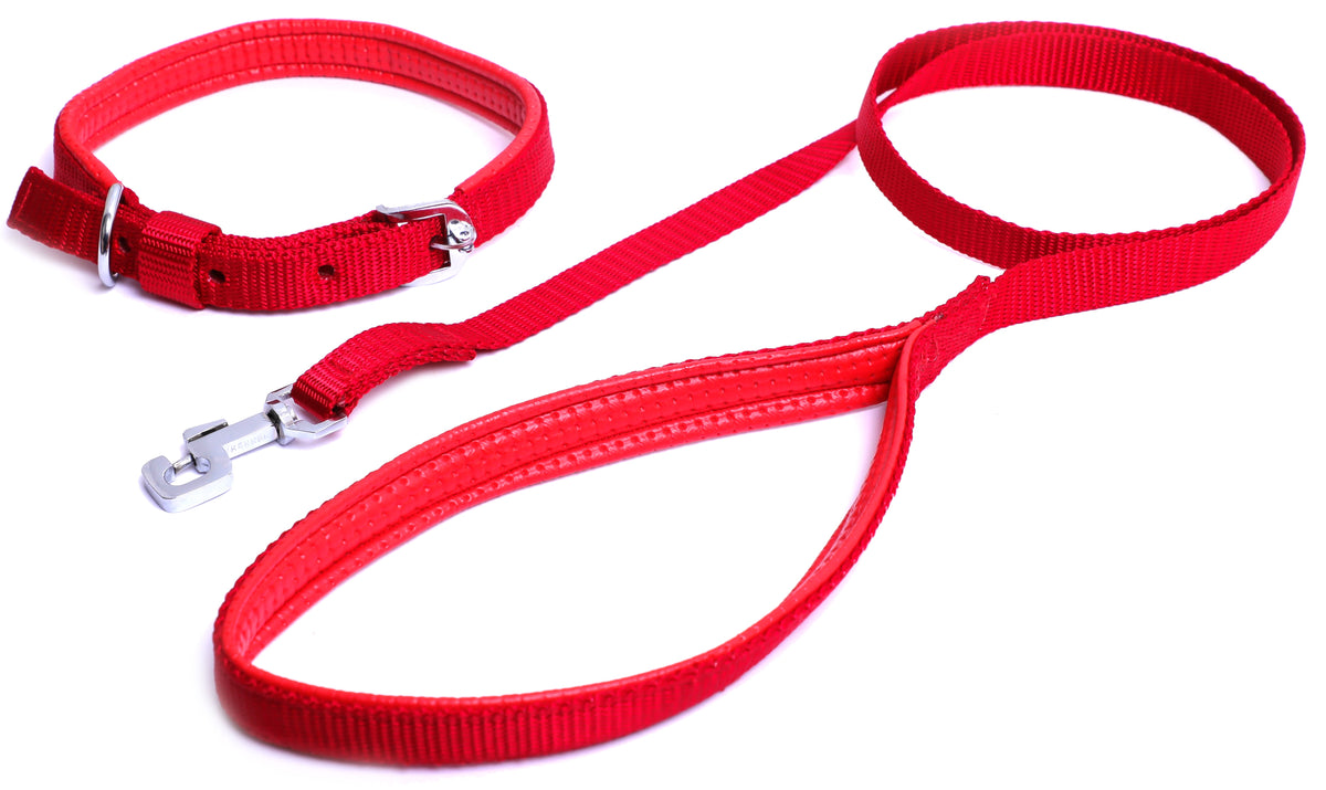 Kennel Foam Padded Nylon Collar Set & Leash (3/4")