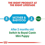 Royal Canin Mini Starter Mother & Baby Dog Dry Food