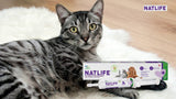 Natural Remedies Natlife Natural Supplements To Restore Energy Real Chicken Liver Paste