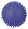 Trixie Hedgehog Ball Vinyl Dog Toy