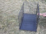 Ztrack Wire Cage (L = 24 Inch X W = 18 Inch X H = 19 Inch)